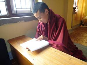 Foto 119 Lernen_Prüfung1_12_2015