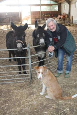 Nils mit seinen beiden Eseln Paula und Pedro und der Hündin Luka (800)